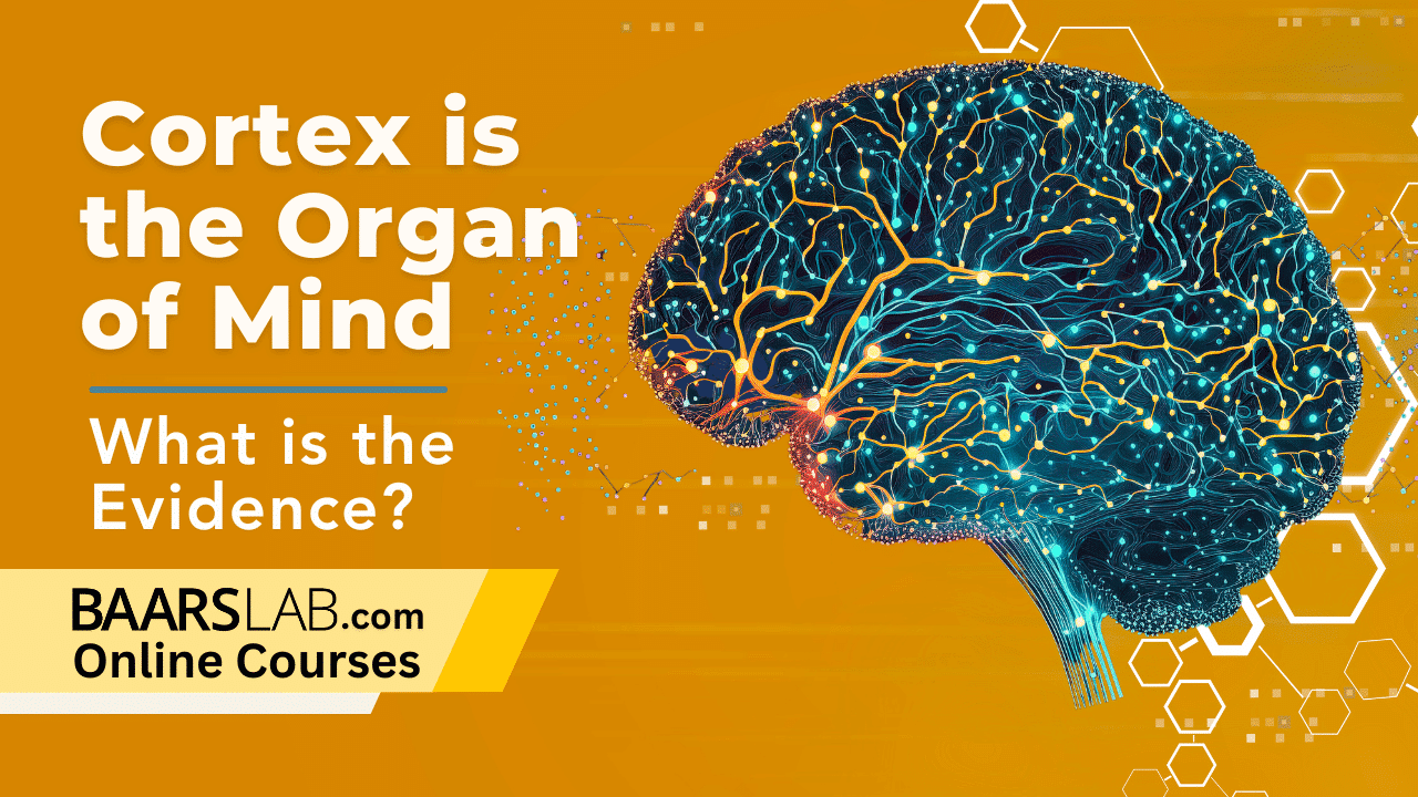 About - BAARS LAB | Mind and Brain Science Courses